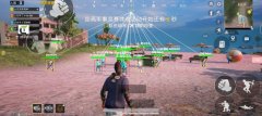 和平精英内饰辅助怎么开（和平精英内饰辅助的具体功能是什么？）
